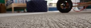 Carpet Cleaning Lexington KY